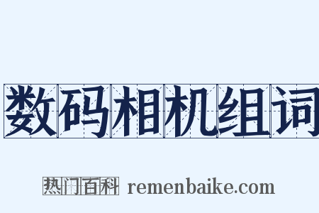 数码相机组词是什么意思的图片